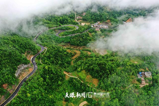 天青色等烟雨,而我在等你