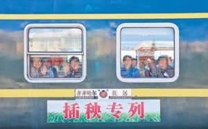 话茬儿(坐着火车去插秧（守望）)