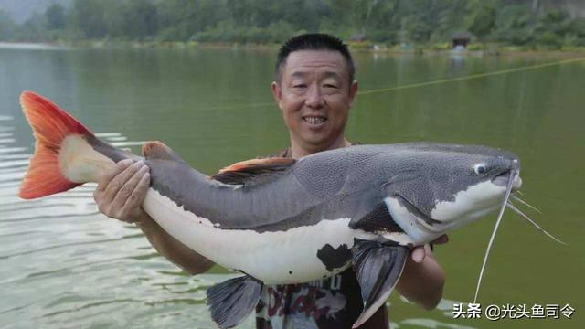 钓鱼盛会“王者之战”,为啥关注度这么高?为何钓鱼人又爱又恨?