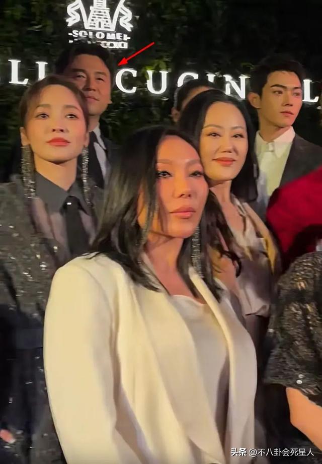 上海这一夜,站在章子怡身边的万宝宝,才是真正的“中国名媛”