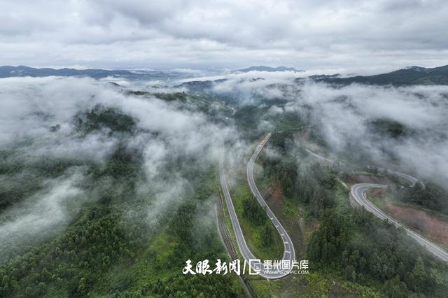 天青色等烟雨,而我在等你