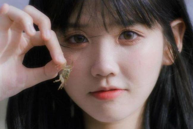 替吸血父母还债,供养同父异母的弟弟,网红“井川里予”为何能忍