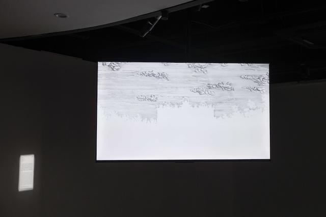 中国当代艺术年鉴展:影像何以热门,评论何以缺失
