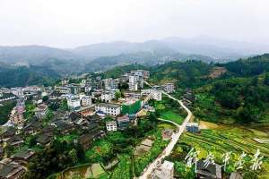 希望之歌(红瑶女的希望之歌)