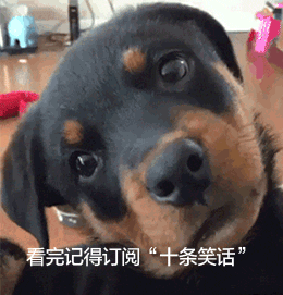 十条笑话：他曾经是王者，槟榔加烟法力无边