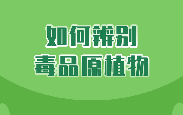 全民禁毒|千万选择,唯“毒”不种