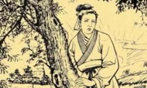 巧妻(民间故事：憨汉娶巧妻)