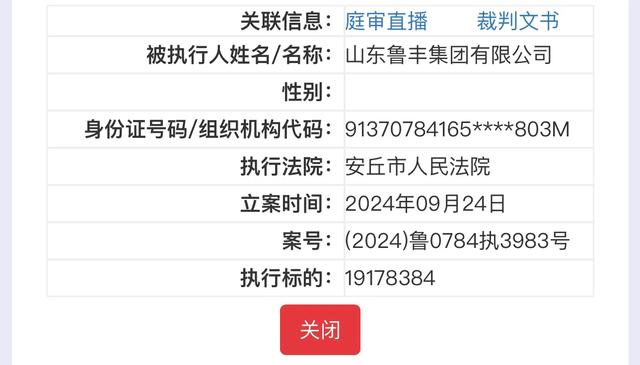 执行总标的7300余万!山东鲁丰集团连续5次被列为被执行人
