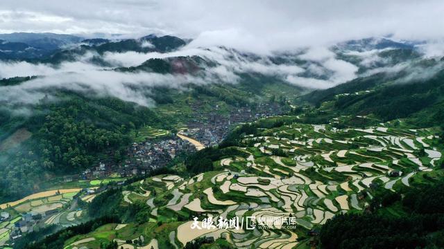 天青色等烟雨,而我在等你