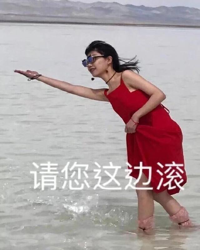斗图表情包合集|请您这边滚