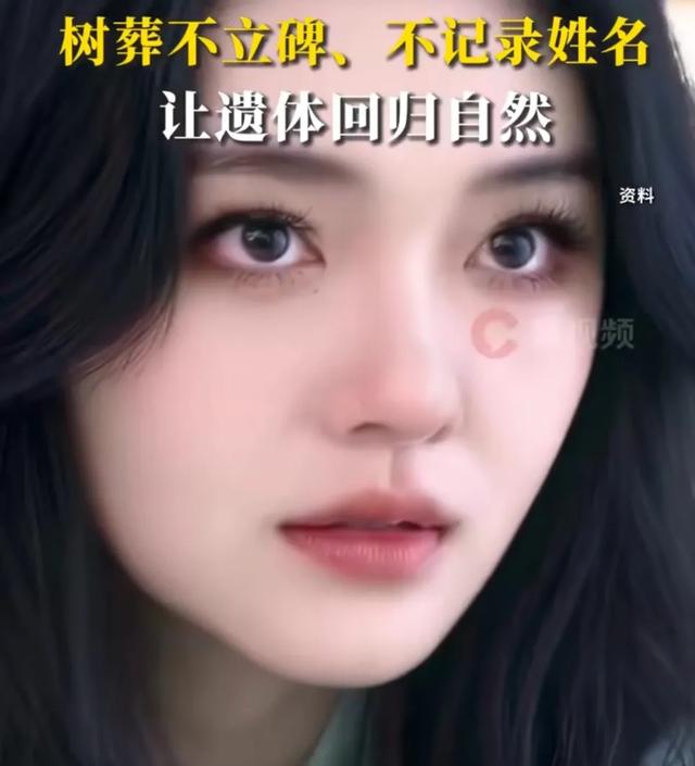 大S树葬:繁华落幕,回归自然的别样告别