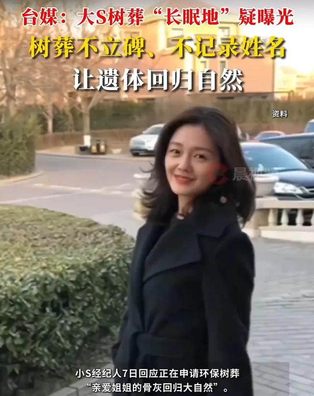大S树葬:繁华落幕,回归自然的别样告别