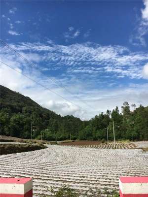 收获颇多(福田扶贫日志：收获颇多的考察)