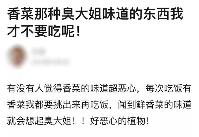 【荐读】不要香菜！千万不要香菜啊啊啊啊啊！！