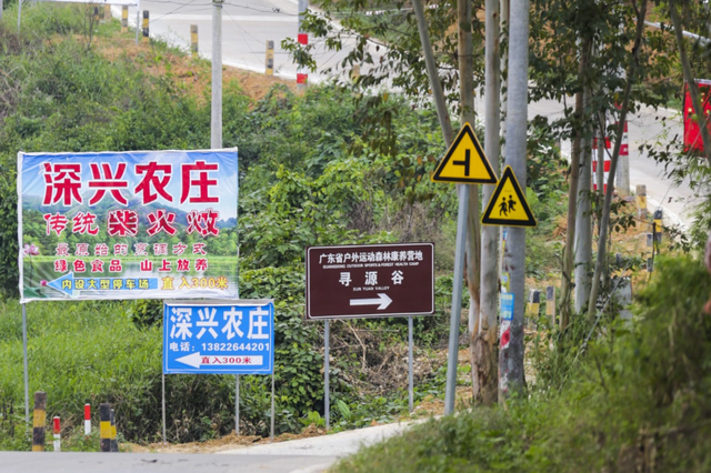 从“空心”村变成“网红”地,实现华丽蜕变的武器是.....