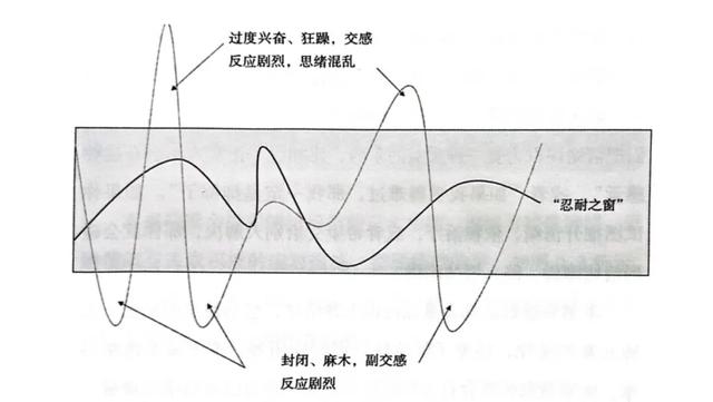一个人情绪出了问题,是因为不会发脾气