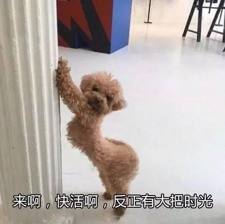 骚男化身艾薇男优，练就加藤鹰之手？