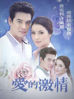 爱的激情(泰剧《爱的激情》12月4日将在安徽卫视播出)