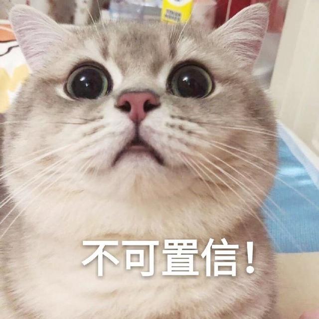 斗图表情包合集|请您这边滚
