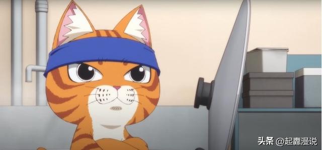 新番动漫资讯，开拉面店的猫猫们的日常，《拉面赤猫》7月播出
