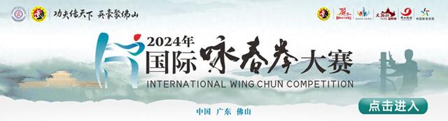功夫少年打咏春,一招一式尽显力量和美感|2024国际咏春拳大赛