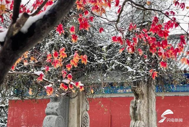 夜读丨​给心房下一场雪