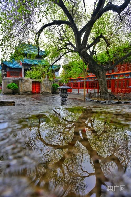 「我在郑州」文物摄影师王羿:用镜头与文物对话
