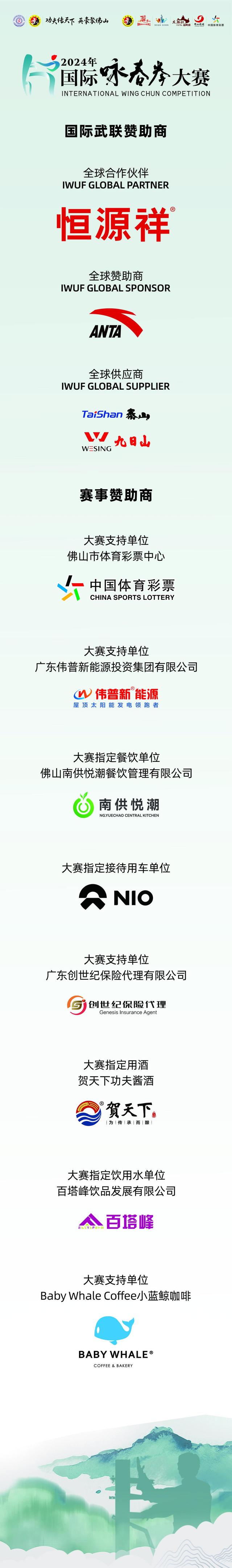 功夫少年打咏春,一招一式尽显力量和美感|2024国际咏春拳大赛