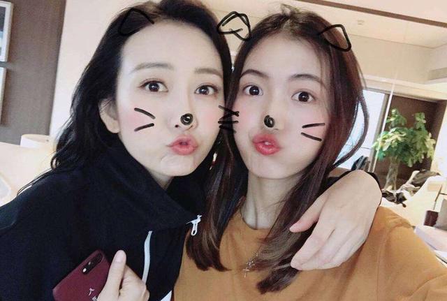 基因遗传太强大,女明星貌美如花的姐妹,林心如妹妹比她还美