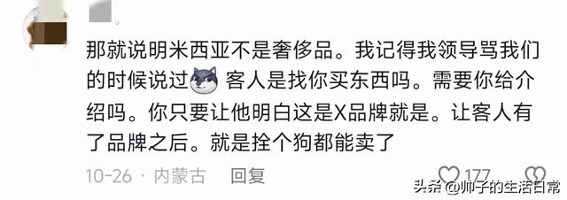 为啥王漫妮辞职不到半年,米西亚就破产了呢?