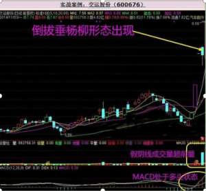 倒拔垂杨柳(“倒拔垂杨柳”是主力吸筹完毕，彻底疯狂拉升的唯一标志二话不说满仓干后市股价直接创新高)