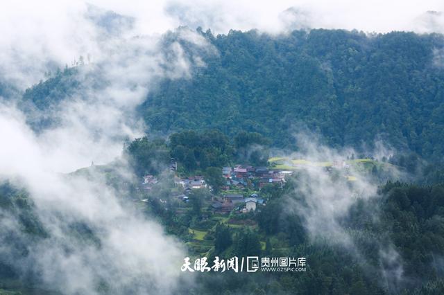 天青色等烟雨,而我在等你