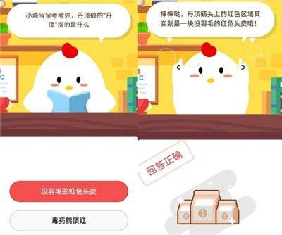 丹顶鹤的丹顶指的是什么?没羽毛的红色头皮还是毒药鹤顶红