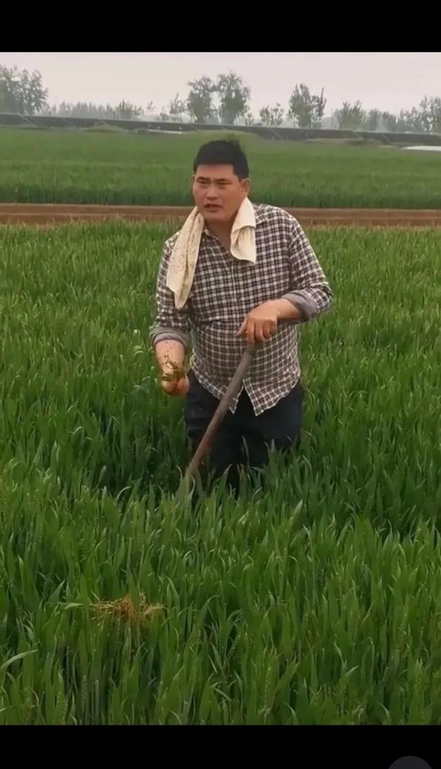 谈谈山东老乡“大衣哥”