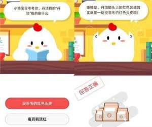 鹤顶红是什么(丹顶鹤的丹顶指的是什么？没羽毛的红色头皮还是毒药鹤顶红)