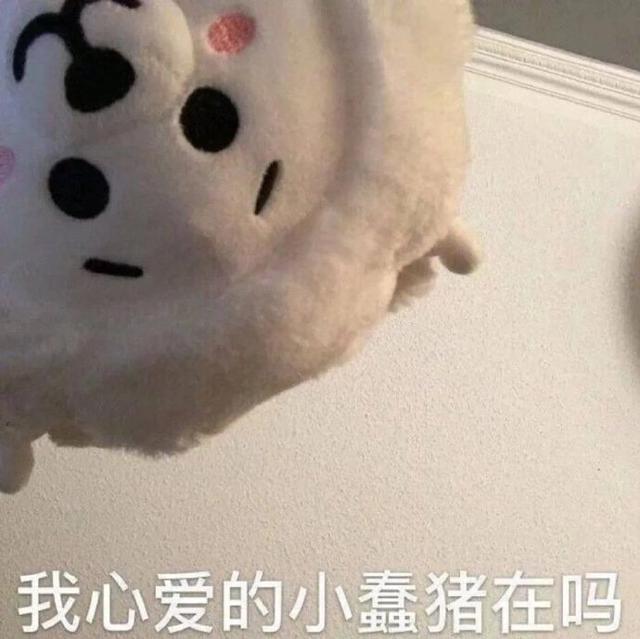 斗图表情包合集|请您这边滚