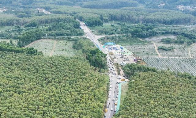 海南又开通一条旅游公路!466公里,这次是看热带雨林