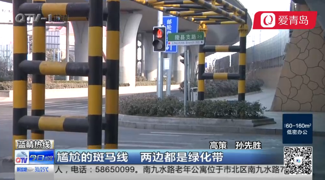 尴尬的斑马线!两边都是绿化带,路中还有障碍!该咋走?