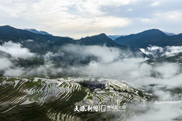 天青色等烟雨,而我在等你