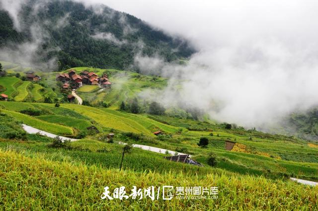 天青色等烟雨,而我在等你