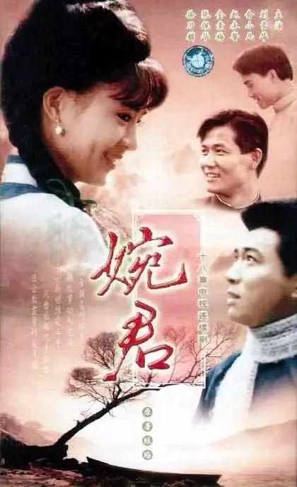 这20部老剧值得回味,部部经典,都看过证明你是“老剧迷”