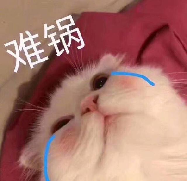 斗图表情包合集|请您这边滚