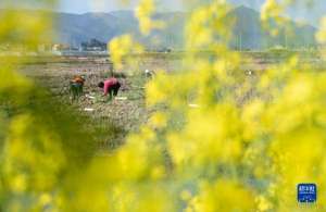 春光无限好(新华全媒+丨春光无限好)