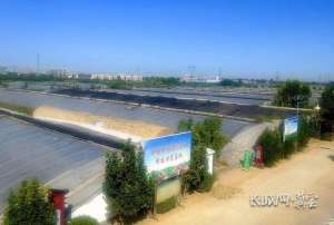 牛忠(石家庄市藁城区：“满格”电力点亮乡村振兴路)