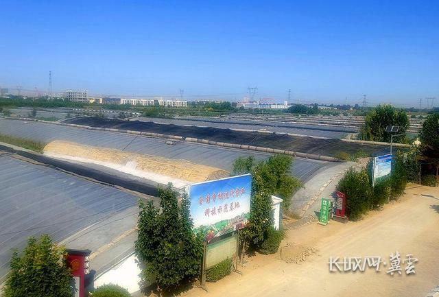 石家庄市藁城区:“满格”电力点亮乡村振兴路