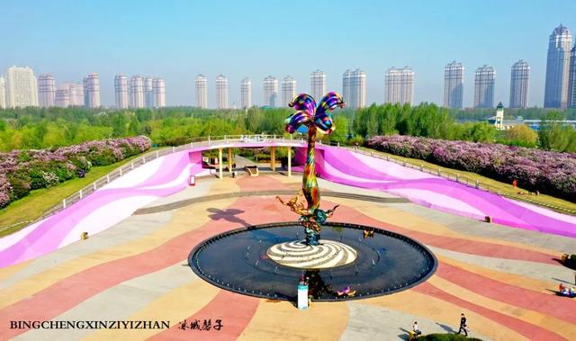 五月丁香开,美翻一座城