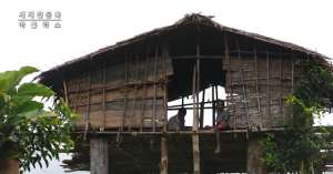 克罗威(这是原始树屋族：房子建在35米的树上，树干和虫子都是他们的食物)