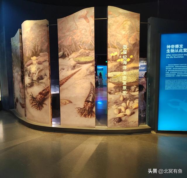 剪秋(三):爱就是唤醒