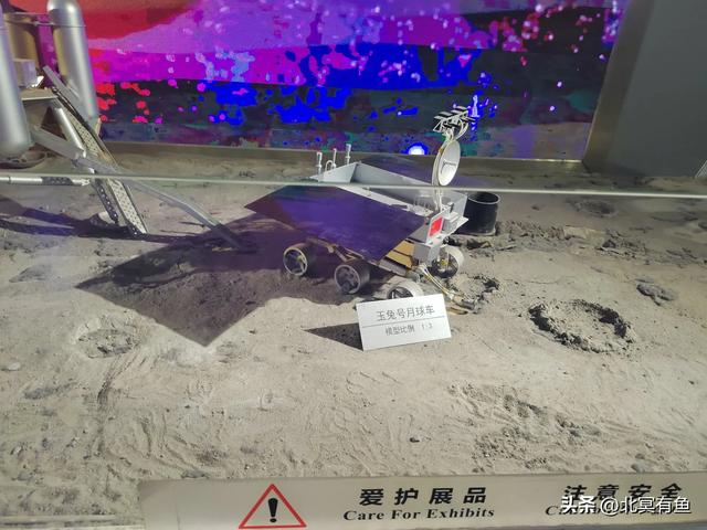 剪秋(三):爱就是唤醒