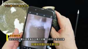 卡兰德(蕉叶纹罐底足特征#鉴定#瓷器#抖音小助手)